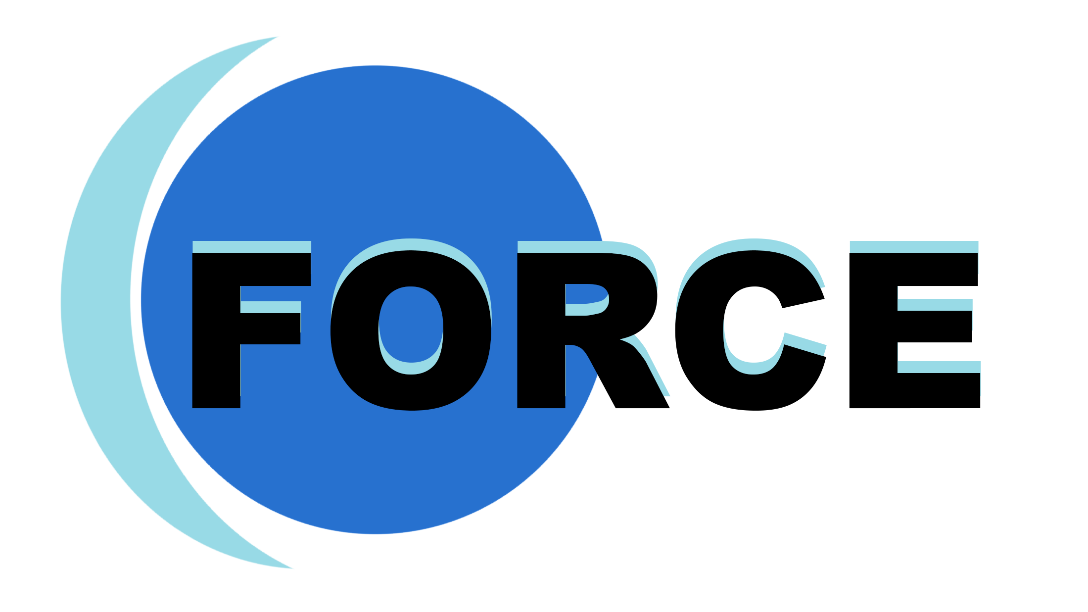 Force Ten Technologies — Partner